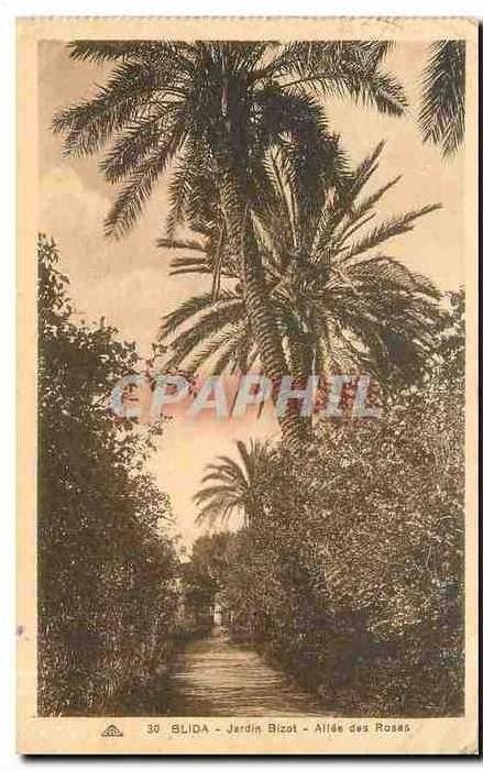 CPA Blida Jardin Bizot Allee des Roses