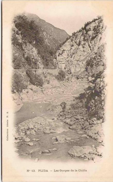 Algérie - BLIDA - Les Gorges de la Chiffa