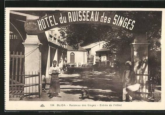 CPA Blida, Ruisseau des Singes