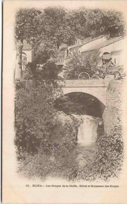 Algérie - BLIDA - Les Gorges de la Chiffa - Hôtel et Ruisseau des Singes