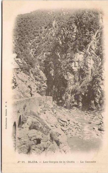 Algérie - BLIDA - Les Gorges de la Chiffa - La cascade