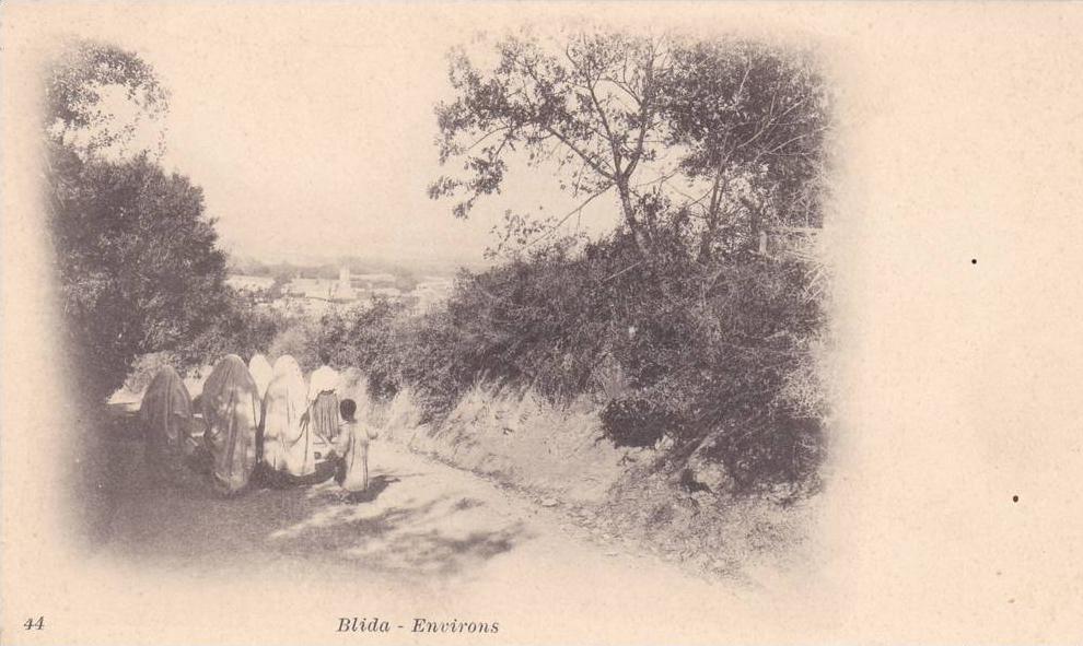 CPA  AFRIQUE. ALGERIE.BLIDA. ENVIRONS