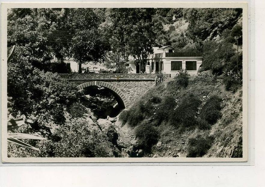 AFRIQUE                 ALGERIE         BLIDA