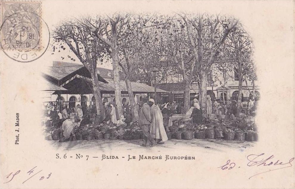 CPA ALGERIE - Blida - Le marché européen