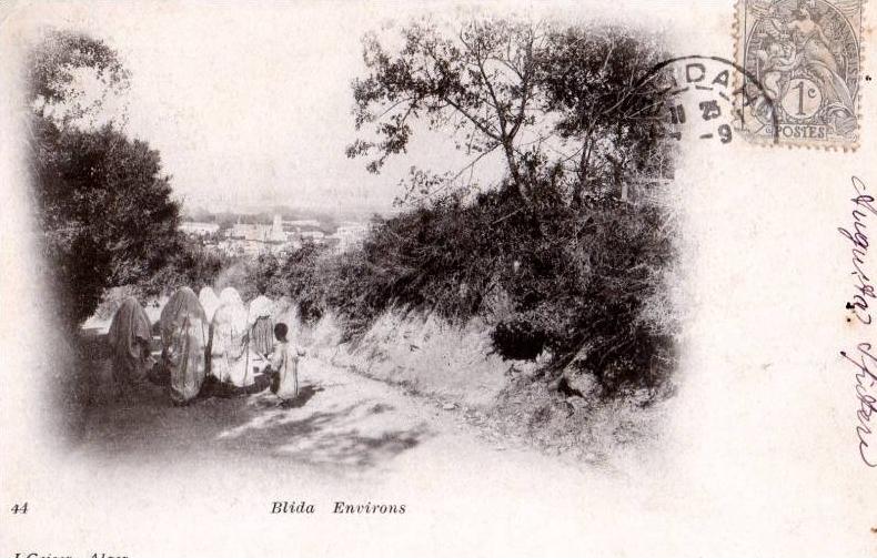 CPA ALGERIE BLIDA N°44 ENVIRONS ANIMEE PRECURSEUR J. GEISER ALGER