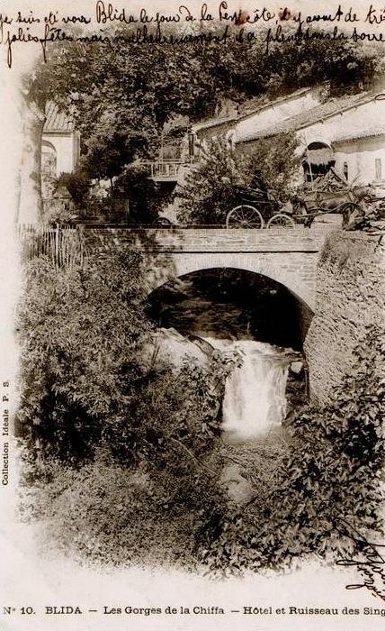 CPA ALGERIE BLIDA N°10 LES GORGES DE LA CHIFFA HOTEL ET RUISSEAU DES SINGES ANIMEE ATTELAGE 1903 PRECURSEUR
