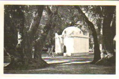 CPSM BLIDA LE BOIS SACRE MARABOUT DE SIDI YACOUB EDIT LIBRAIRIE A.MAUGUIN N°1