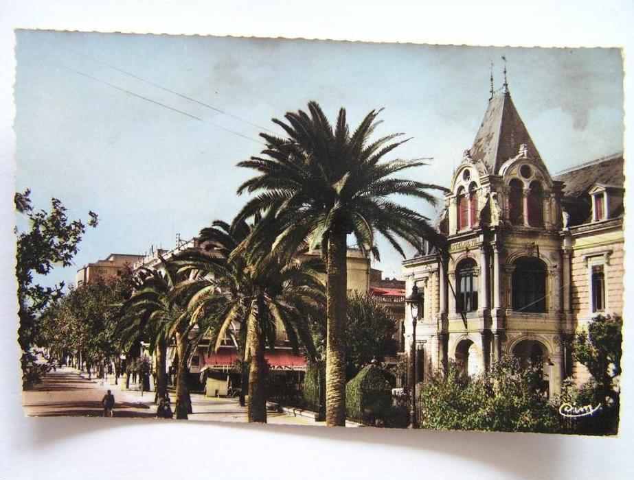 cpsm, carte photo, très belle vue animée, Sidi Bel Abbès, hôtel de ville et avenue de la république
