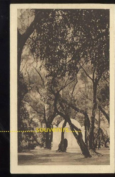 CPA   ALGERIE  BLIDA le bois sacré ** prix fixe **