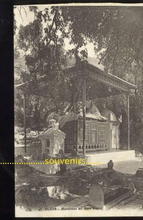 CPA   ALGERIE  BLIDA  Marabout du Bois Sacré ** prix fixe **