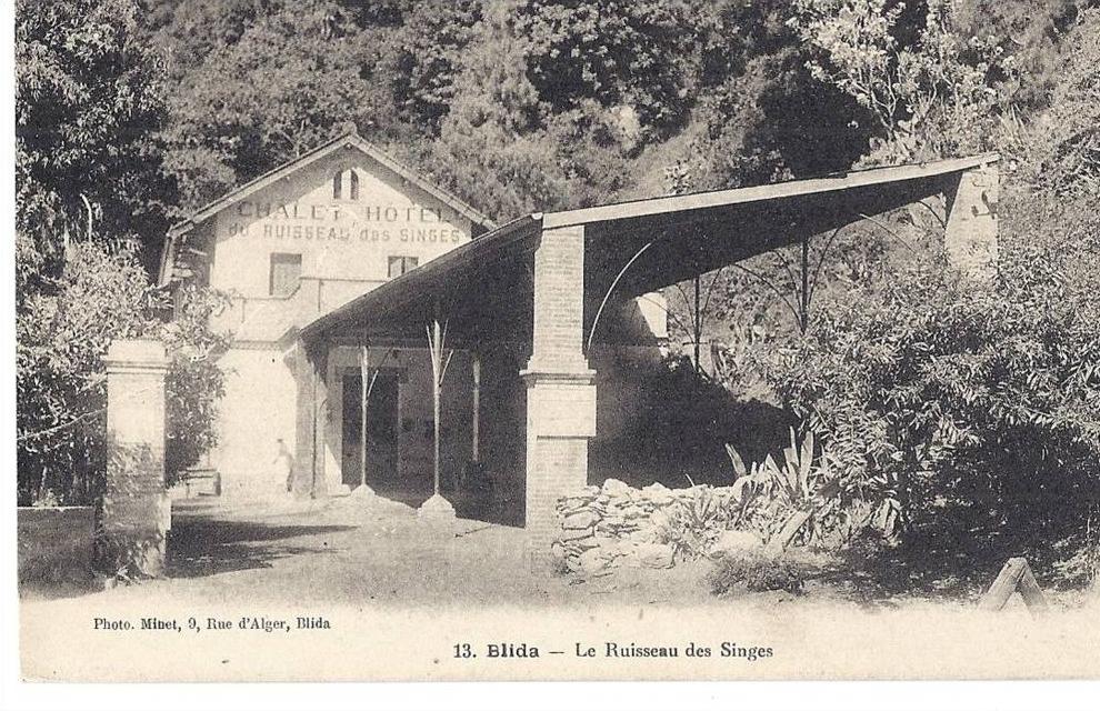 cp Afrique Algérie BLIDA chalet hotel du ruiseau des singes ( montagne )