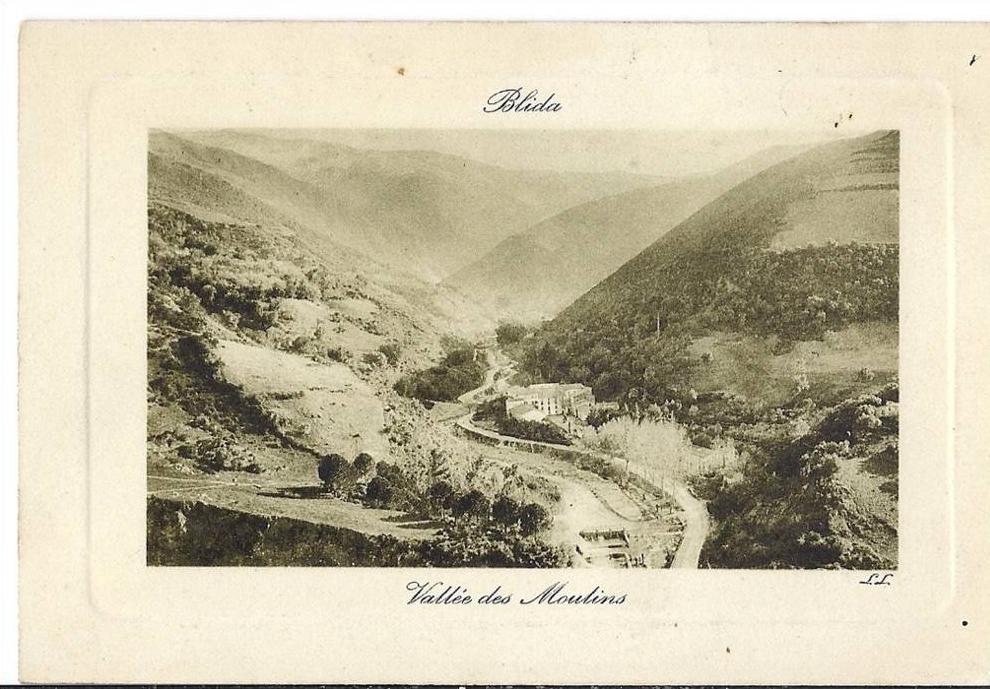 cp Afrique Algérie BLIDA Vallée des moulins ( à eau , montagne ) verdatre