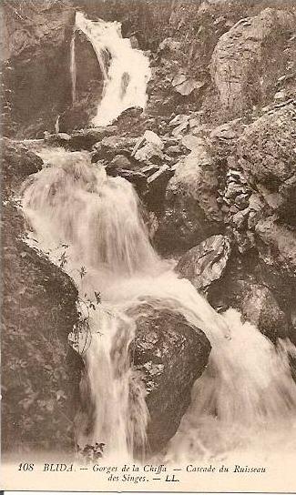 BLIDA - LES GORGES DE LA CHIFFA - CASCADE DU RUISSEAU DES SINGES