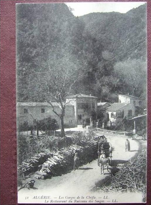 LES GORGES DE LA CHIFFA / LE RESTAURANT DU RUISSEAU DES SINGES / BELLE CARTE ANIMEE / LL