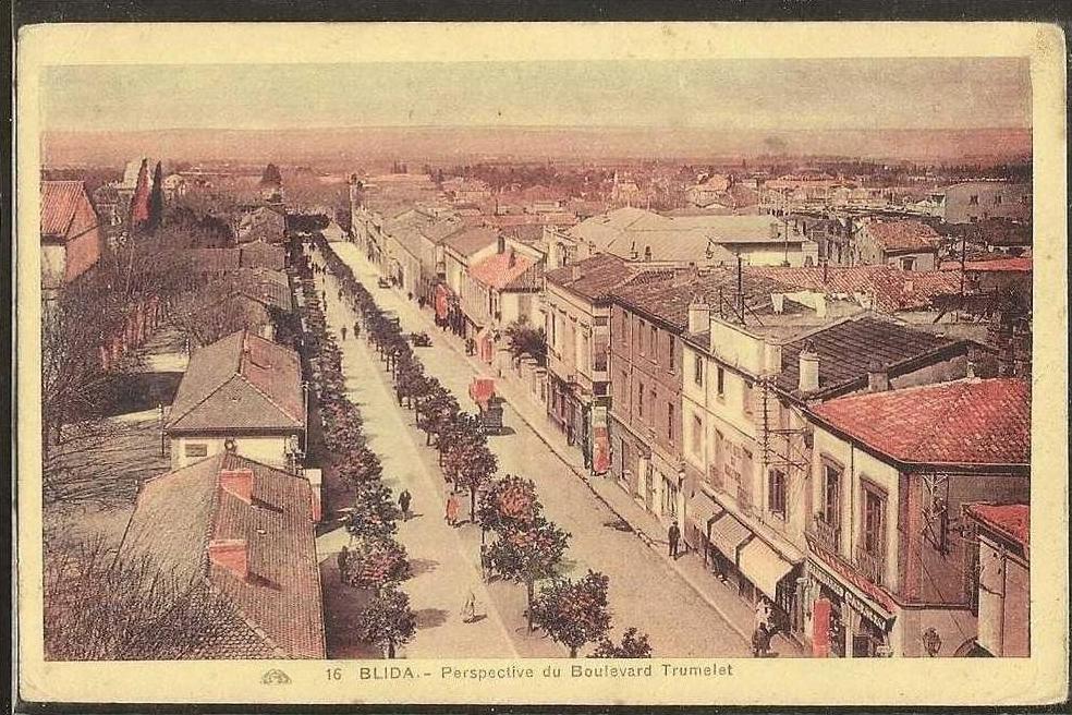 - CPA ALGERIE - Blida, perspective du boulevard Trumelet