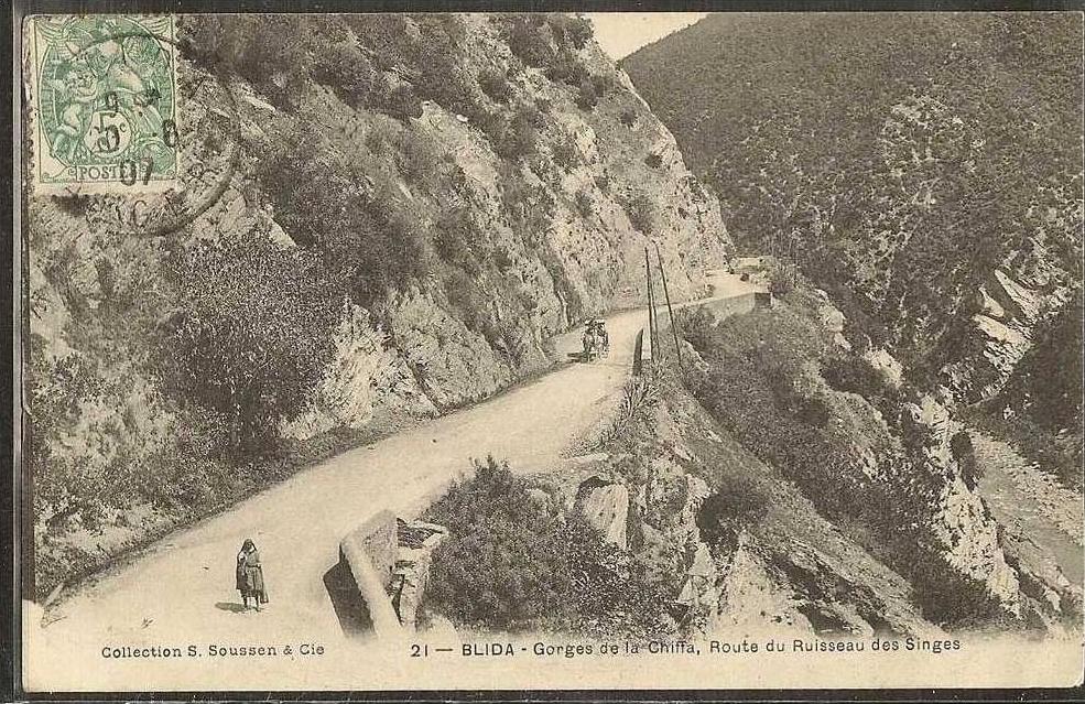 - CPA ALGERIE - Blida, la route du ruisseau des Singes