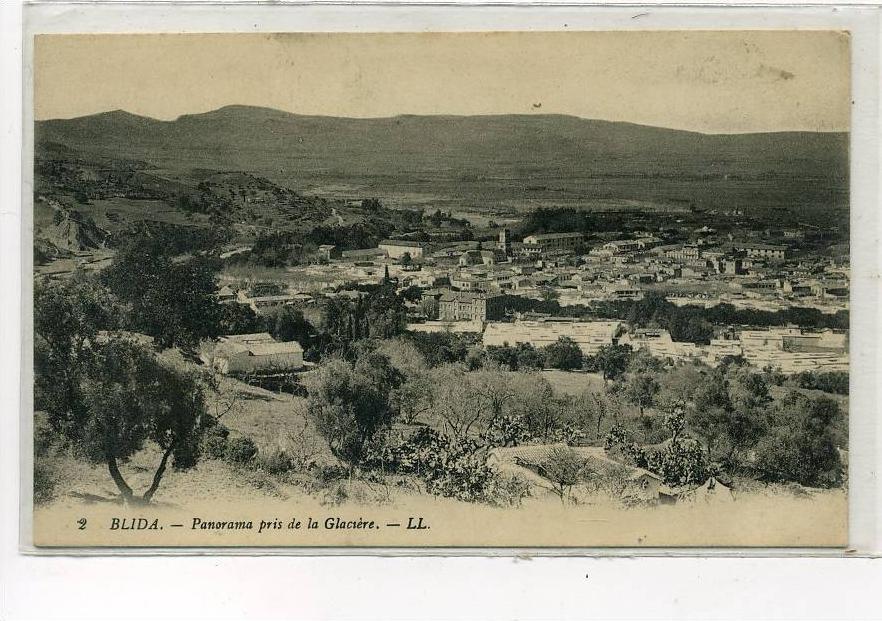 AFRIQUE    ALGERIE   BLIDA    PANORAMA