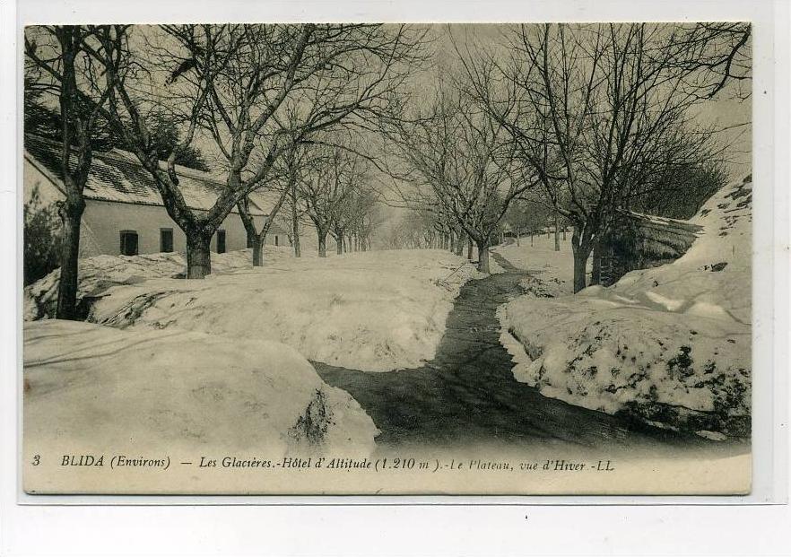 AFRIQUE    ALGERIE   BLIDA   EN HIVER