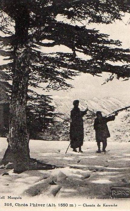 Chréa l´hiver chemin de Kerrauche