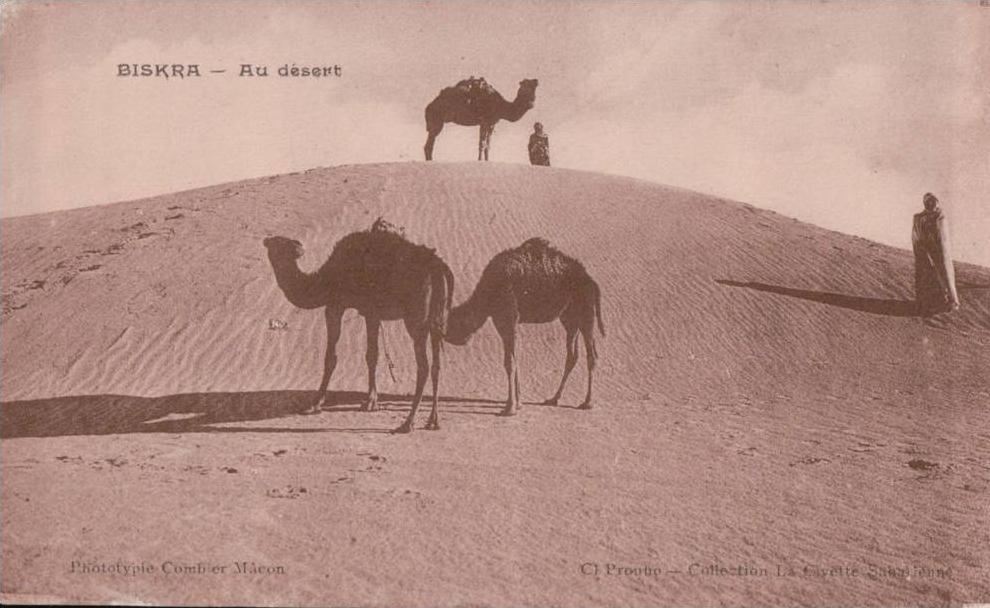 PORT GRATUIT    8500  BISKRA