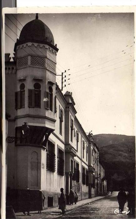 PORT GRATUIT    8270  BLIDA