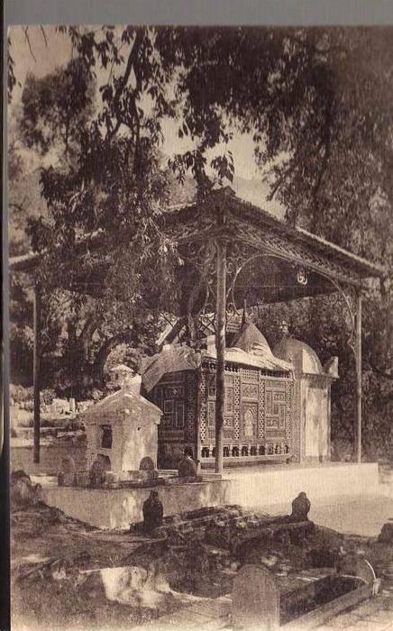 PORT GRATUIT    8270  BLIDA