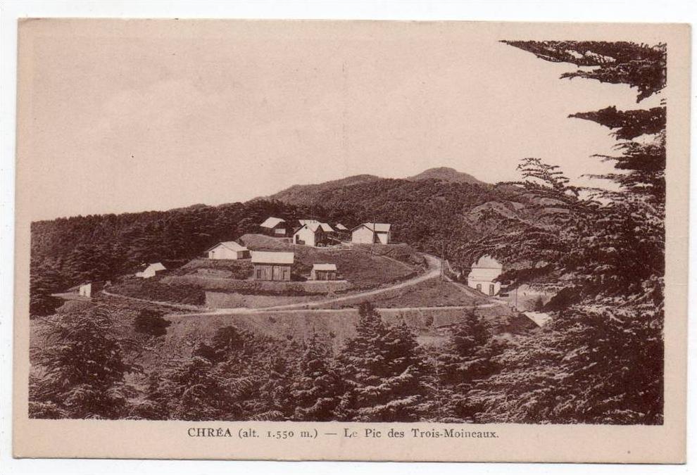 Cpa Algérie - ( Blida ) Chréa alt. 1550 m. - Le pic des 3 moineaux ( erreur légende ? 3 ou 4 moineaux ? )