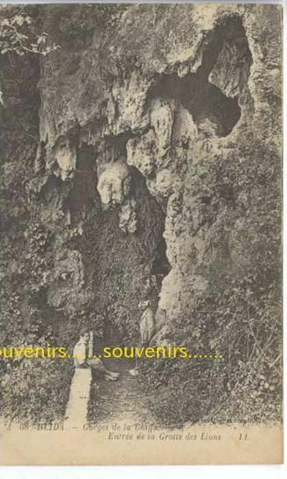 CPA  ALGERIE   BLIDA   Gorges de la Chiffa enrée de la Grotte des Lions