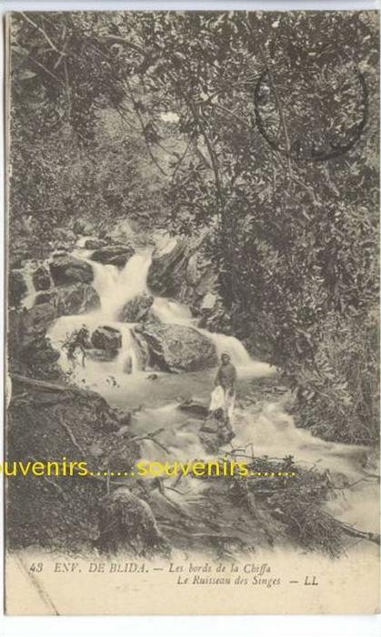 CPA  ALGERIE  environs de BLIDA  les bords de la Chiffa le ruisseau des Singes