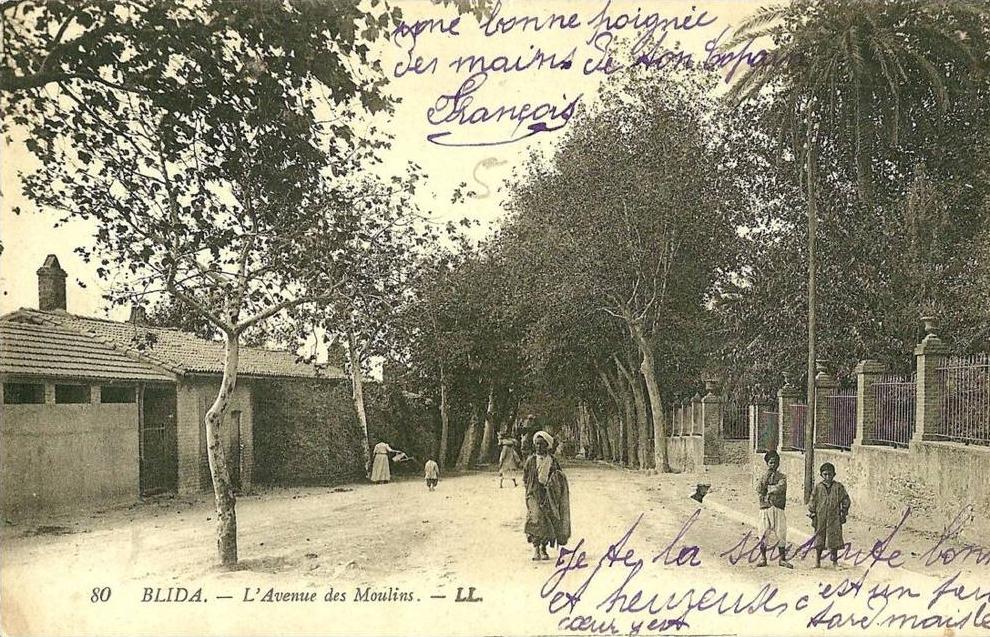 Blida. l'Avenue des moulins.