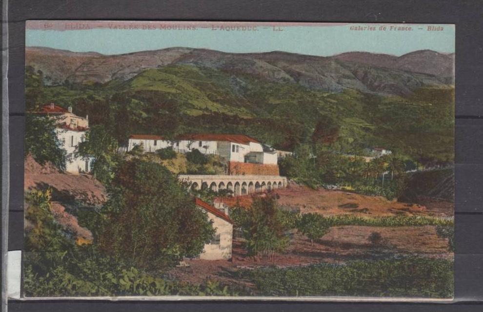 Algérie - Blida - Vallée des Moulins - L'Aquéduc - LL - Colorisée