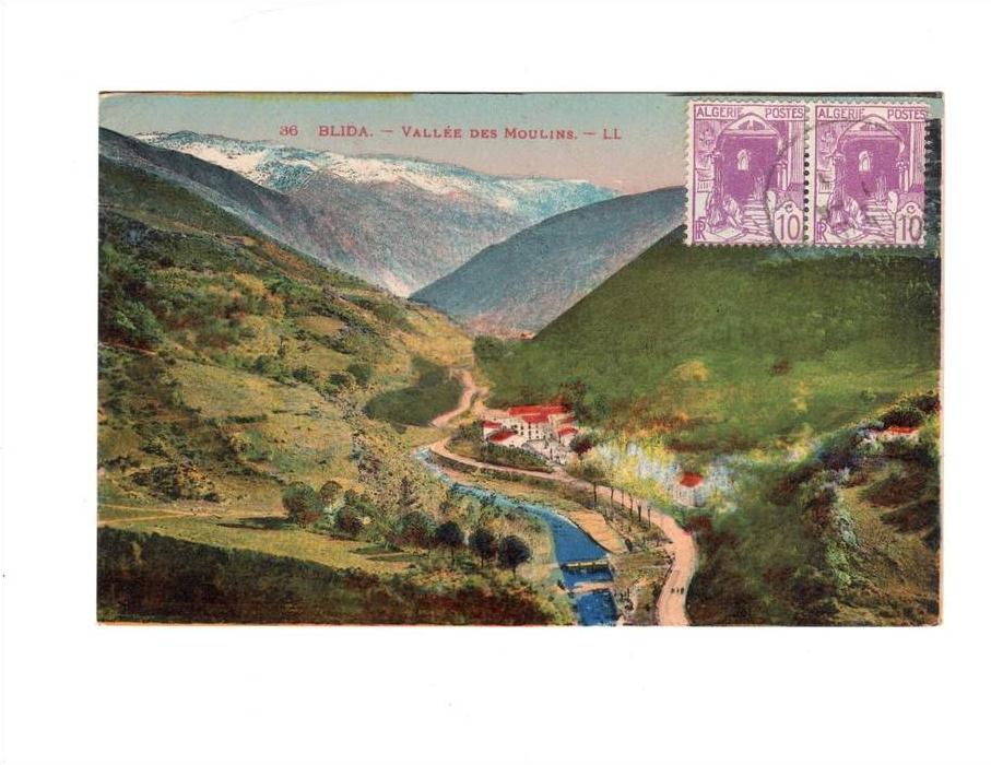 36 - BLIDA - VALLEE DES MOULINS - LL