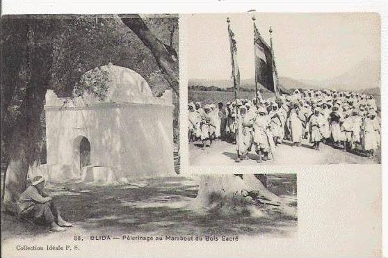 BLIDA 88 PELERINAGE AU MARABOUT DU BOIS SACRE