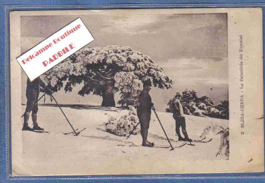 carte postale Algérie Blida Chrea  le parapluie du Koudiat  sous la neige trés beau plan