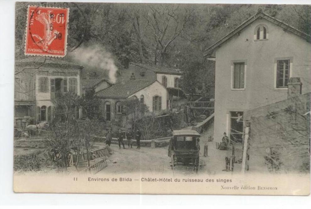 Algérie BLIDA - Les Environs - Châlet-Hotel du ruisseau des singes