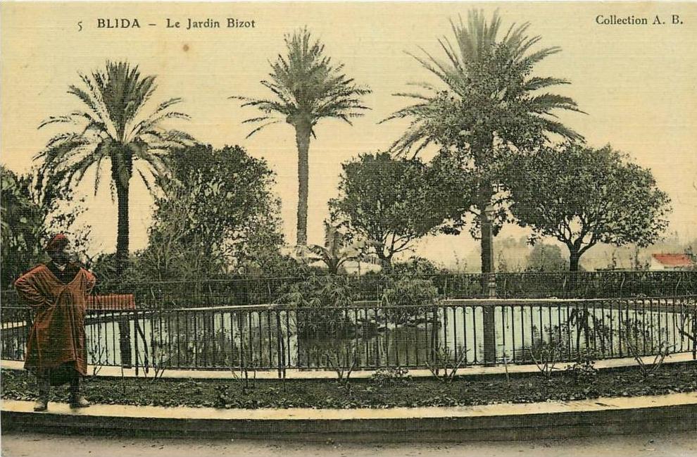 CPA ALGERIE / Blida / RARE CARTE TOILÉE