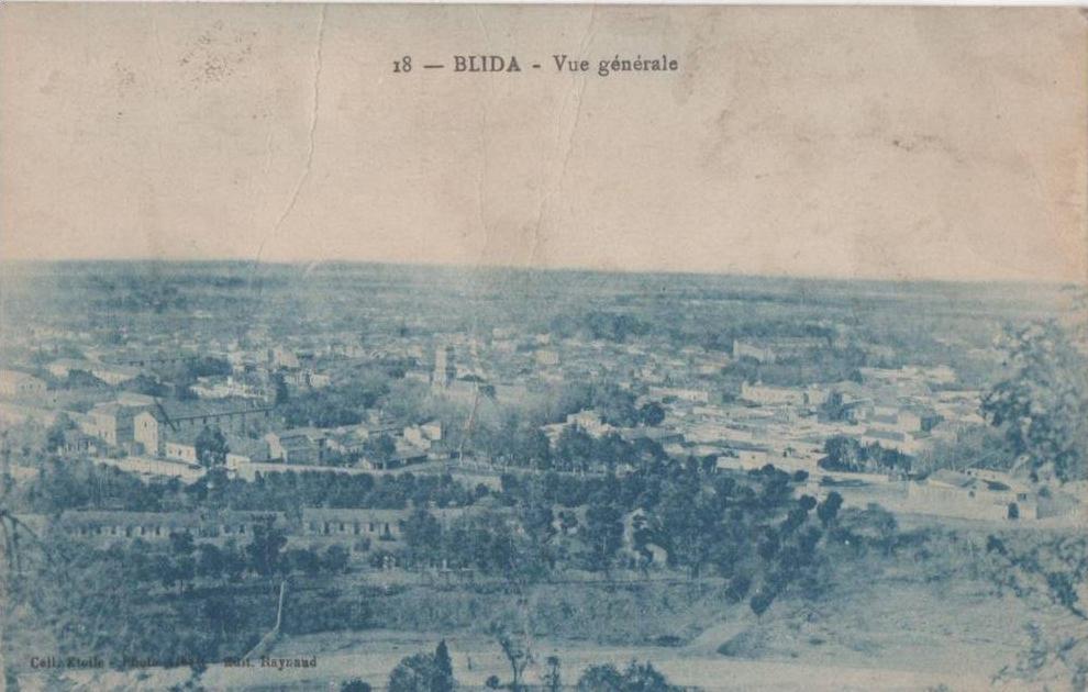 ALGERIE BLIDA VUE GENERALE