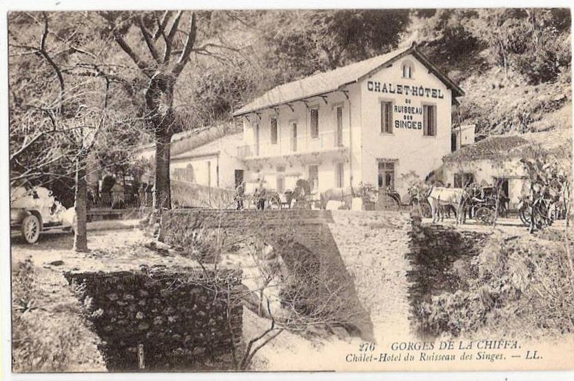 CPA Gorges de la Chiffa Chalet Hôtel du Ruisseau des Singes Blida