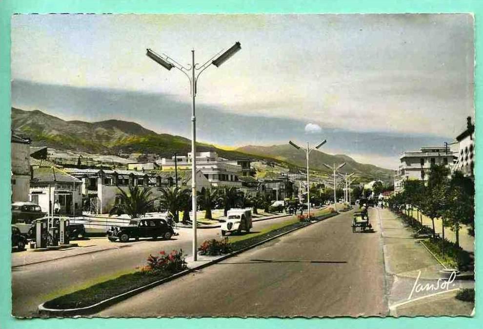 ALGERIE  BLIDA VERS 1958 +++ BOULEVARD BEAUPRÊTRE