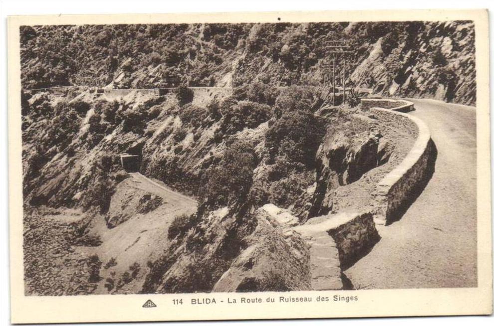 Blida - La Route du Ruisseau des Singes