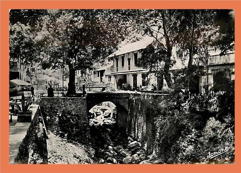 Algerie - BLIDA - Auberge de la Chiffa // CPSM Dentellée (77)