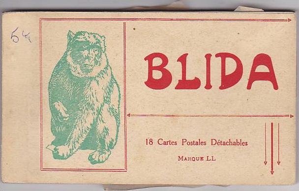 ALGERIE. BLIDA.  CARNET DE 18 CARTES TRES BEAU