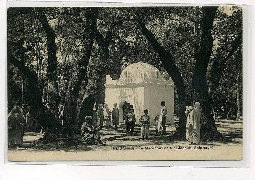 ALGERIE                BLIDA            MARABOUT DE SIDI JACOUB