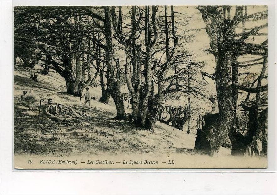 ALGERIE                BLIDA                  LES GLACIERES
