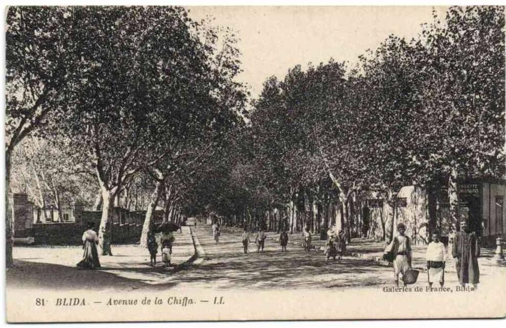 Blida - Avenue de la Chiffa