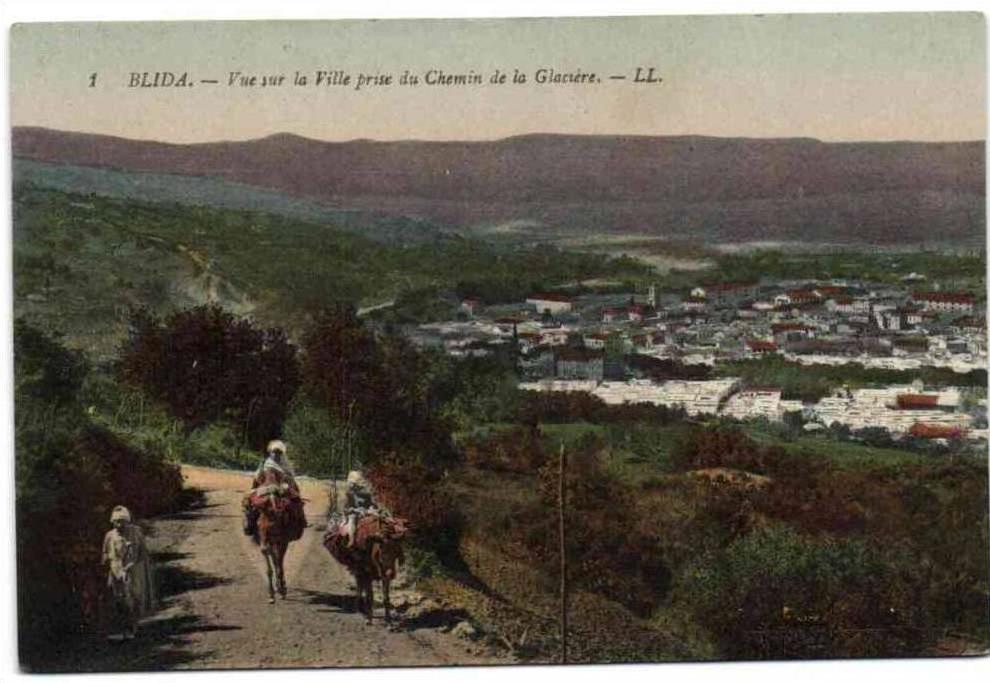 Blida - Vue sur la Ville prise du Chemin de la Glacière