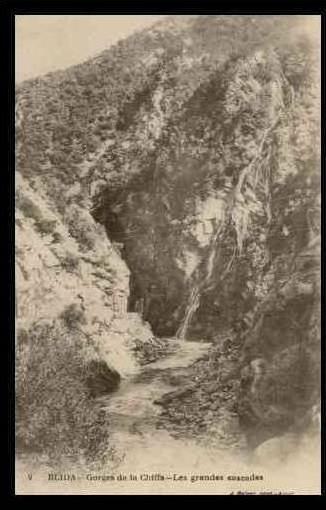 BLIDA - GORGES DE LA CHIFFA - (CPA)