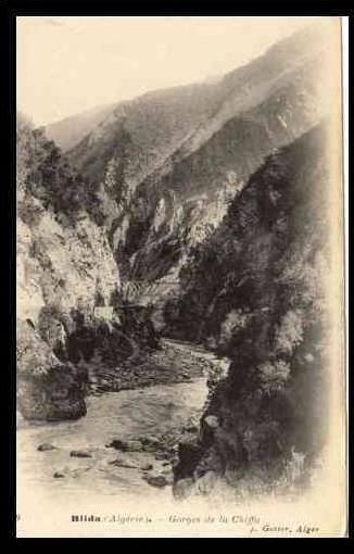 ALGERIE - BLIDA - GORGES DE LA CHIFFA - (CPA)