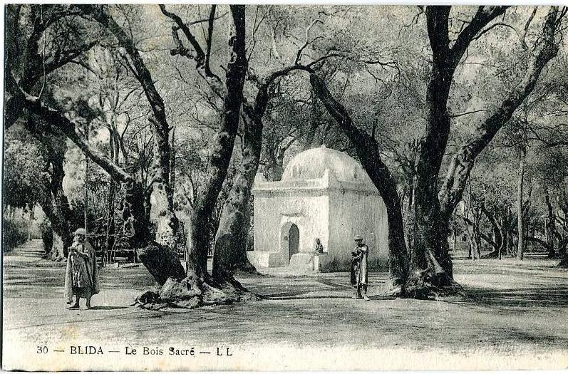 BLIDA (Algérie) – Le Bois Sacré. Editeur LL, n° 30. Animée.