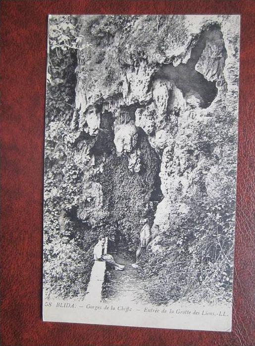 Blida Gorges de la Cliffa Entree de la Grotte des Lions Algerien CPA AK